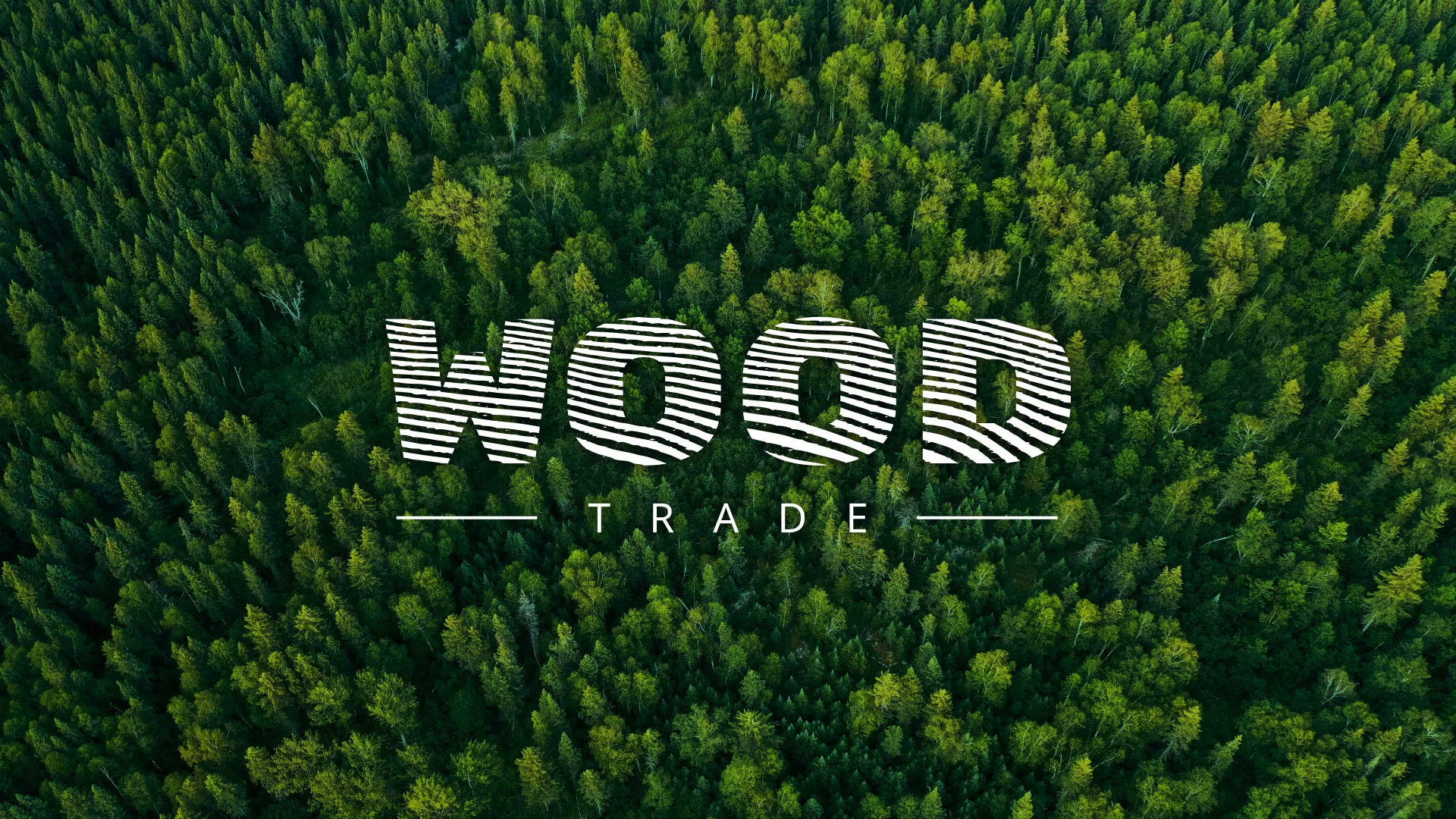 Разработка интернет-магазина компании «Wood Trade» в Болотном